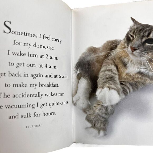 Exley, Scholastic, Chronicle Books Bundle of 3-Piece Set of Cat Lover Books - Picture 7 of 10